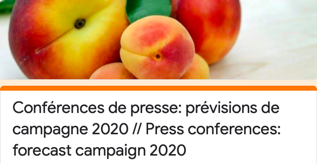  Presentazione delle previsioni di produzione di pesche e nettarine nella UE